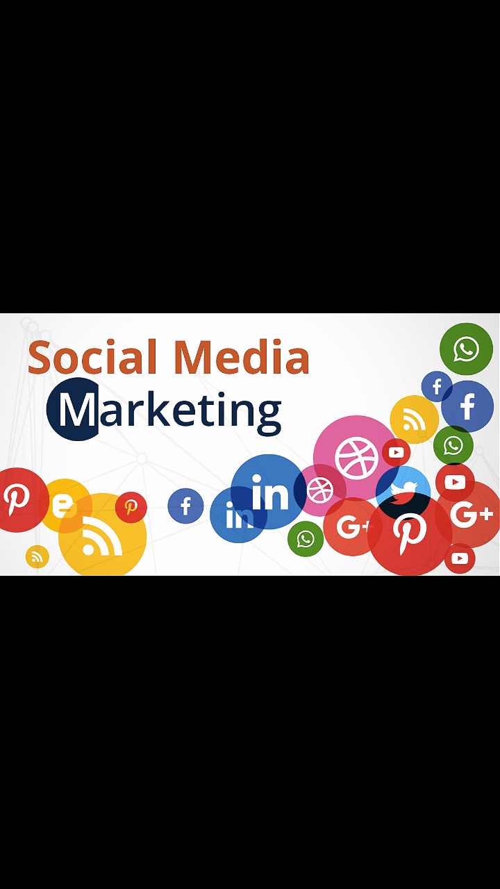 Professional Social Media Management