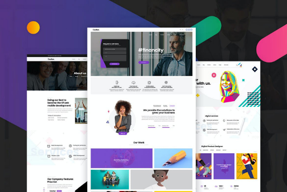 Professional Blog Website